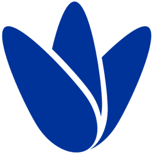 WebbPlatsen ikon